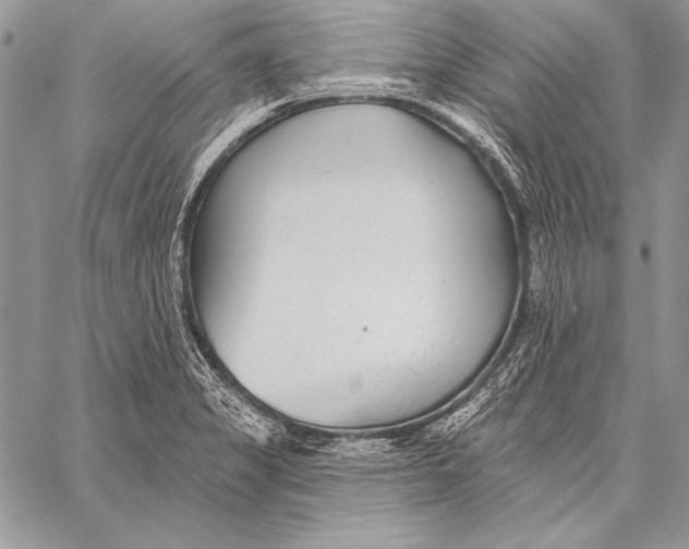 X0000058121325200510171300