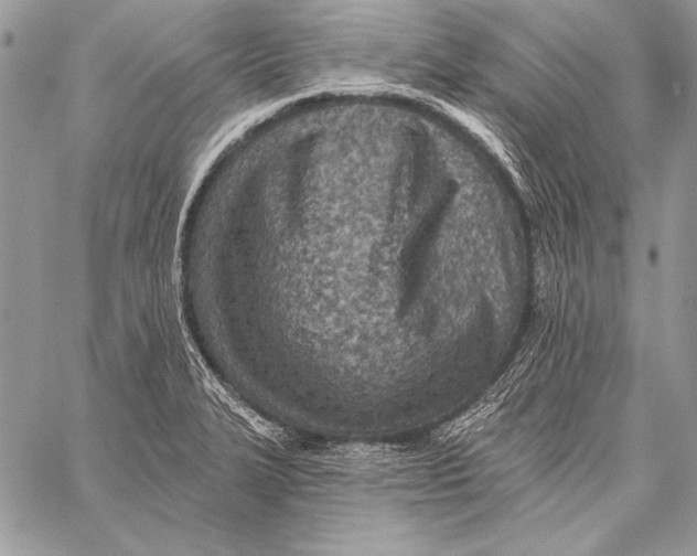 X0000058121327200510171300