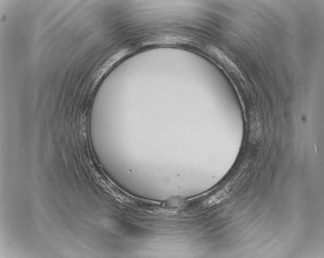 X0000058121329200510171300