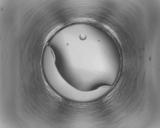 X0000058121330200510171300