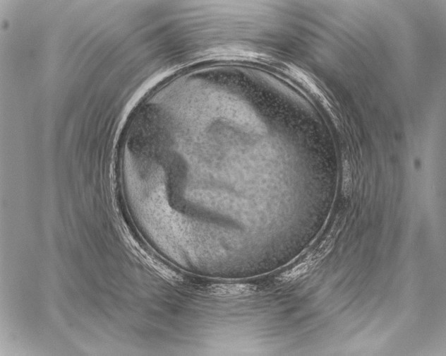 X0000058121331200510171300