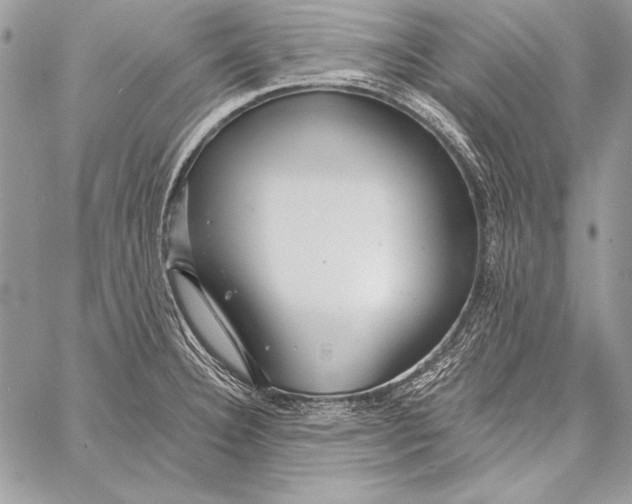 X0000058121332200510171300