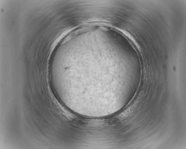 X0000058121333200510171300