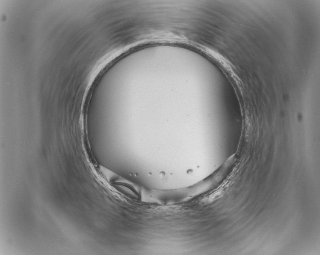 X0000058121335200510171300