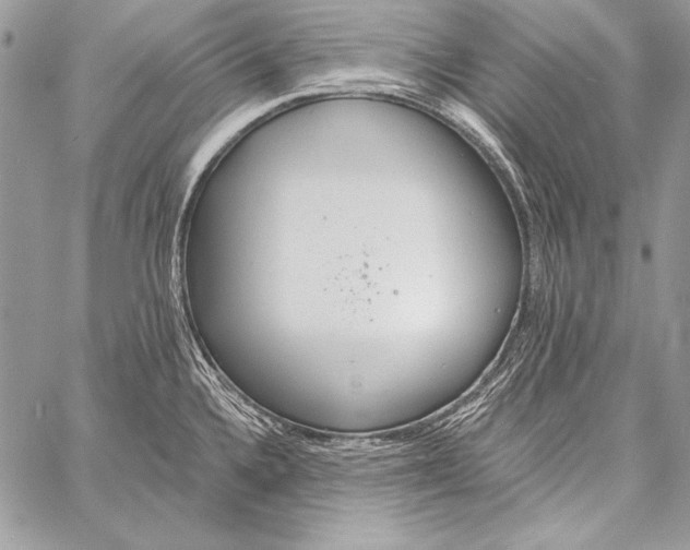 X0000058121336200510171300