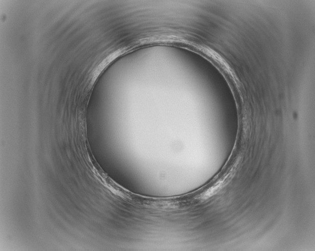 X0000058121337200510171300