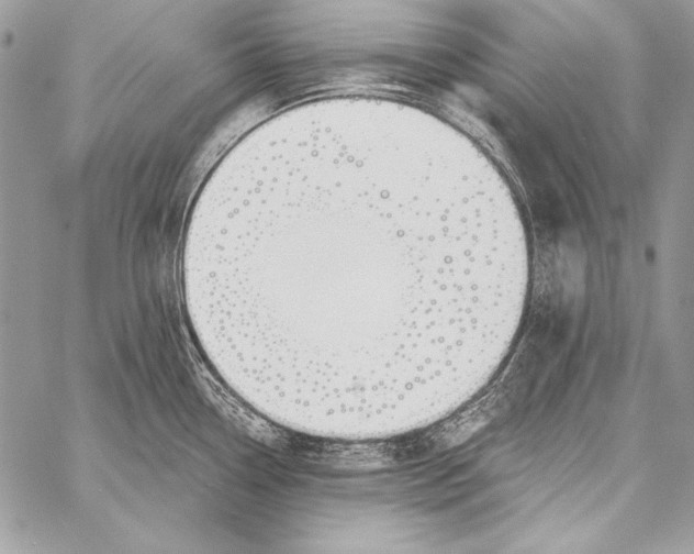 X0000058121338200510171300