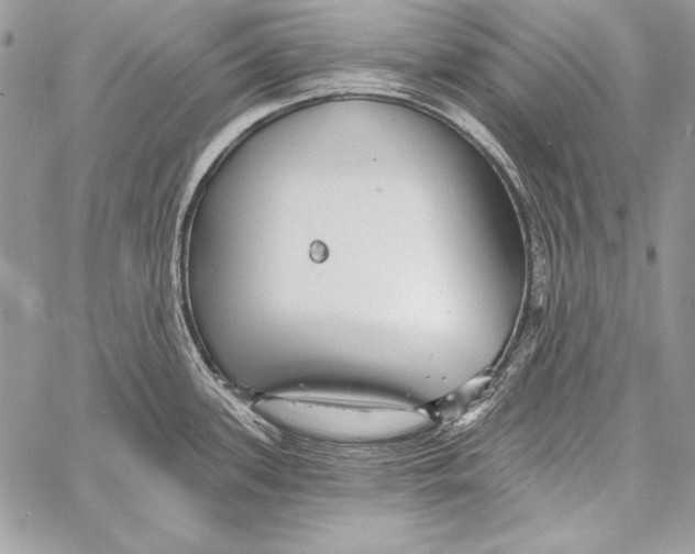 X0000058121339200510171300