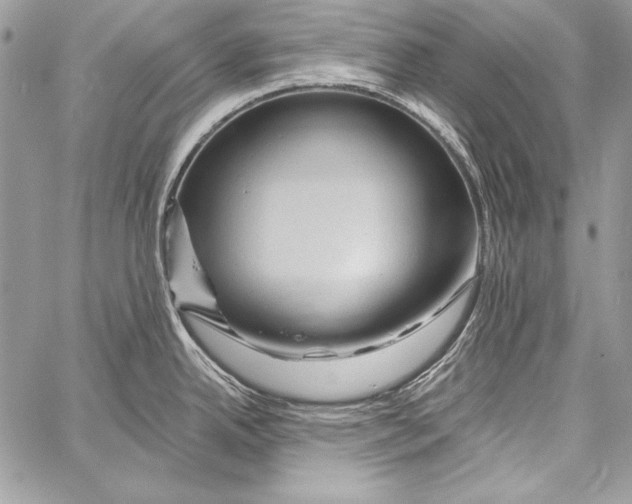 X0000058121342200510171300