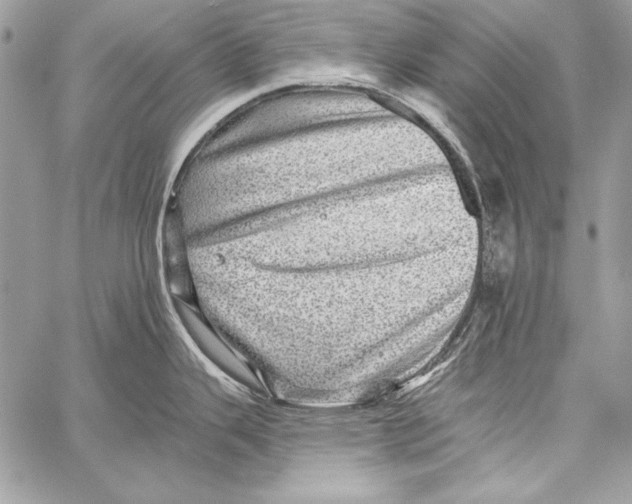 X0000058121343200510171300