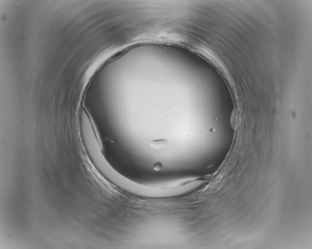 X0000058121344200510171300