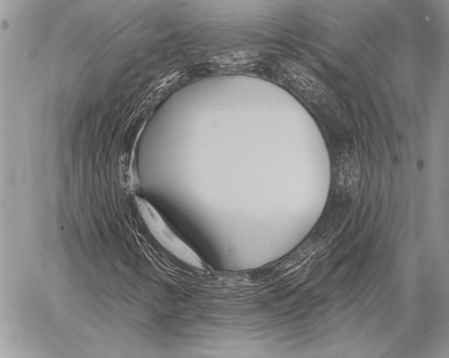 X0000058121346200510171259