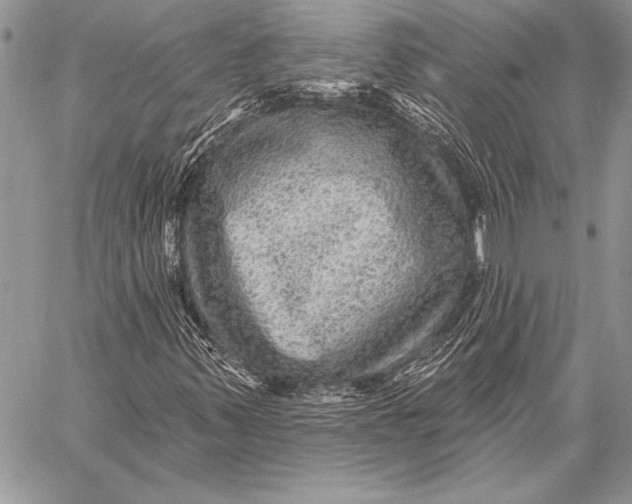 X0000058121347200510171259