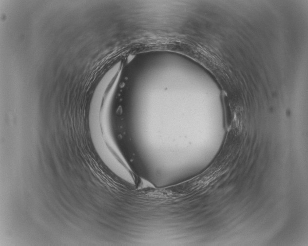 X0000058121348200510171259