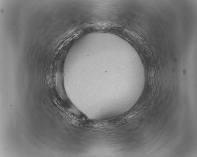 X0000058121349200510171259