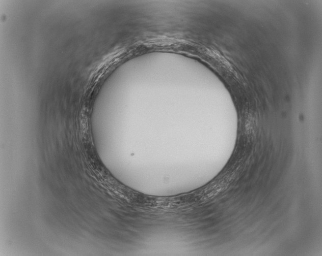 X0000058121350200510171259