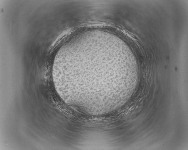 X0000058121351200510171259