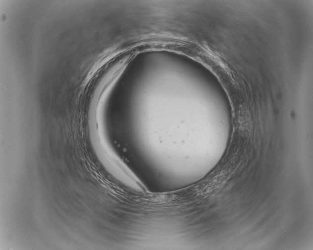 X0000058121352200510171259