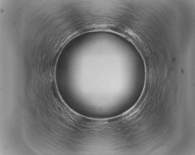 X0000058121353200510171259