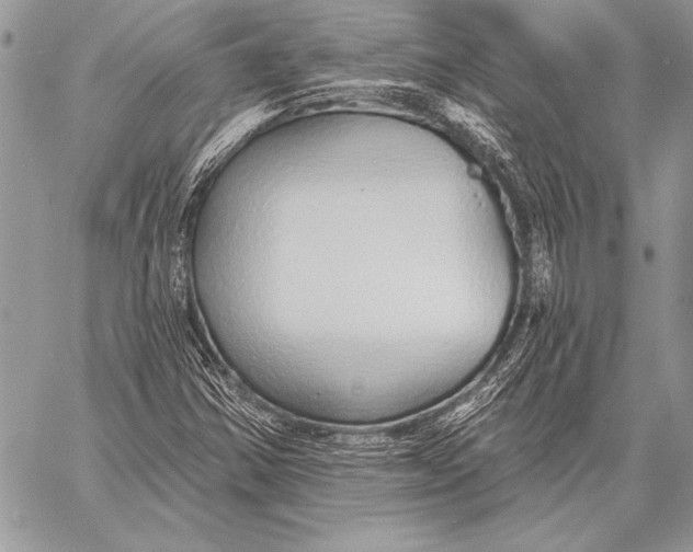 X0000058121354200510171259