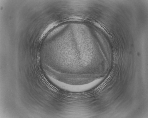 X0000058121355200510171259