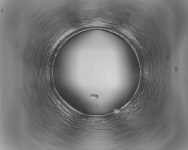 X0000058121356200510171259