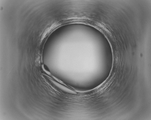 X0000058121357200510171259