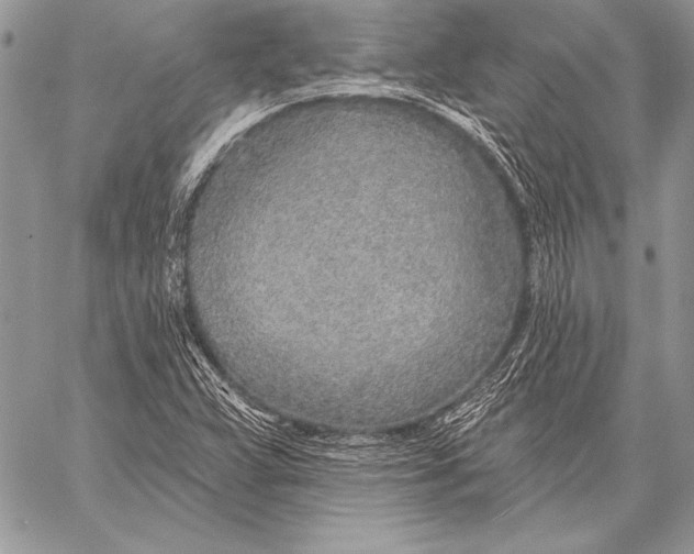 X0000058121359200510171259