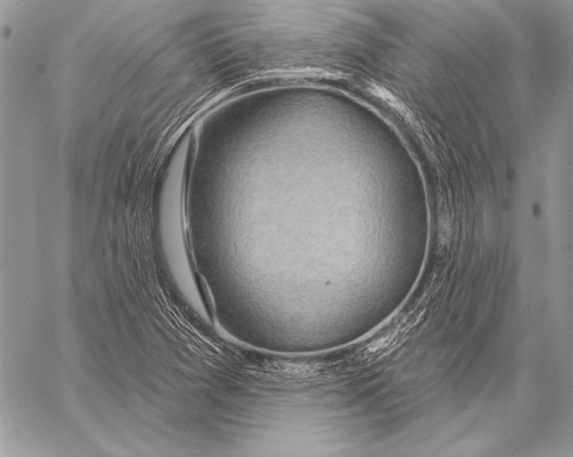 X0000058121361200510171259