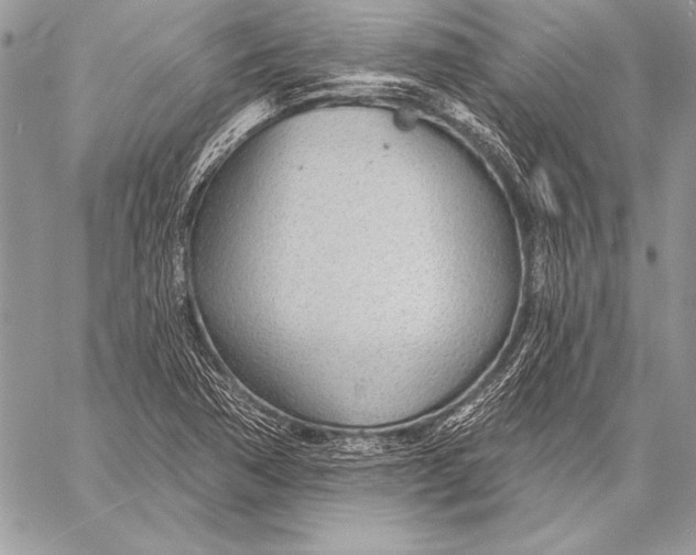 X0000058121362200510171259