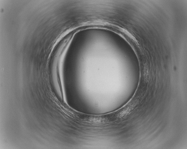 X0000058121364200510171259