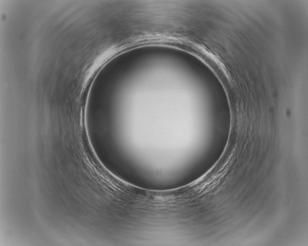 X0000058121365200510171259