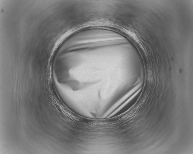 X0000058121366200510171259