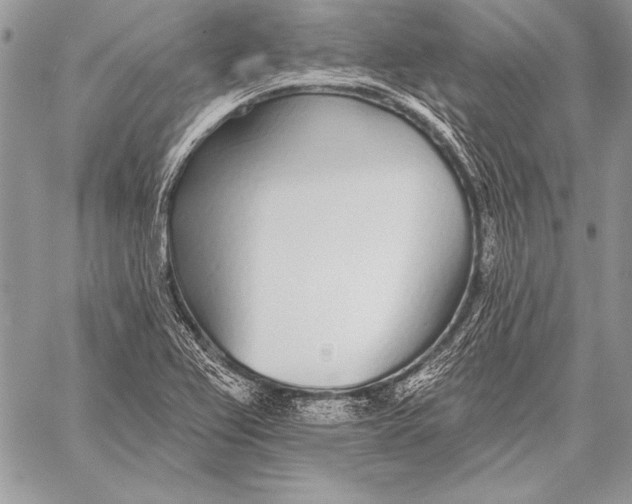 X0000058121367200510171259