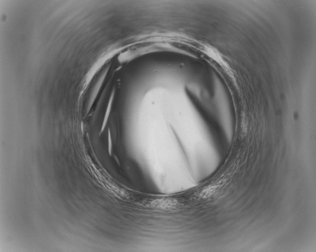 X0000058121368200510171259