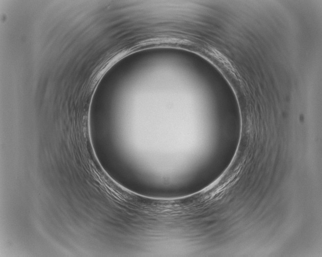 X0000058121369200510171259