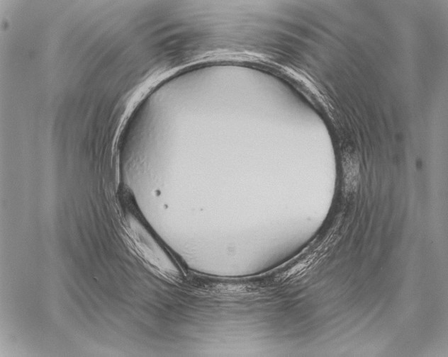 X0000058121371200510171259