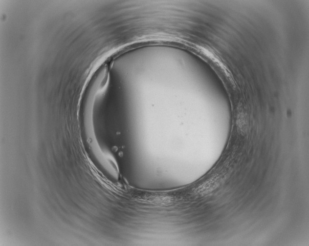 X0000058121372200510171259