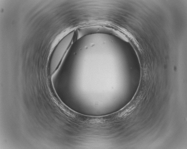 X0000058121373200510171259