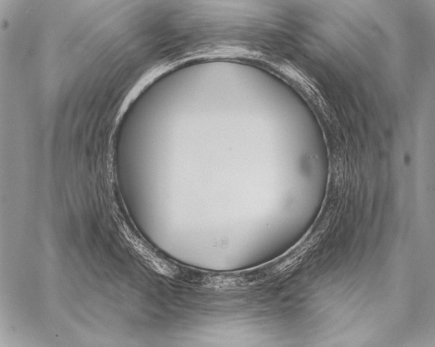 X0000058121374200510171259