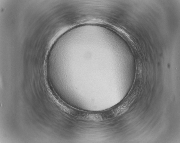 X0000058121375200510171259