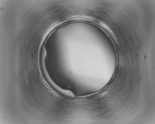 X0000058121376200510171259