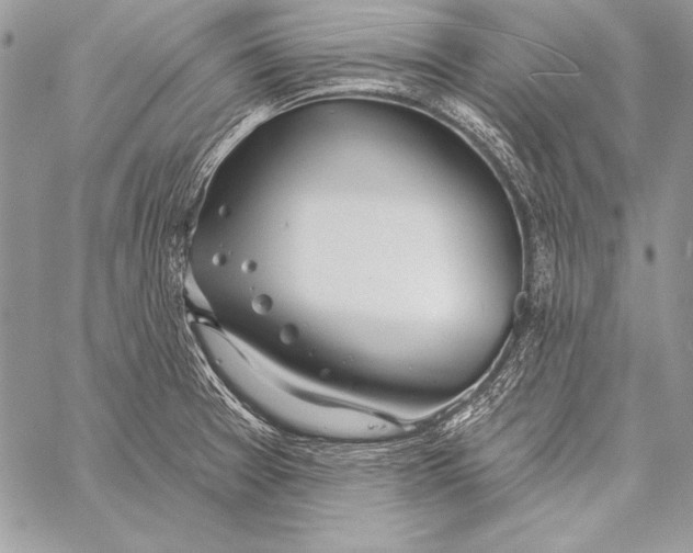 X0000058121377200510171259