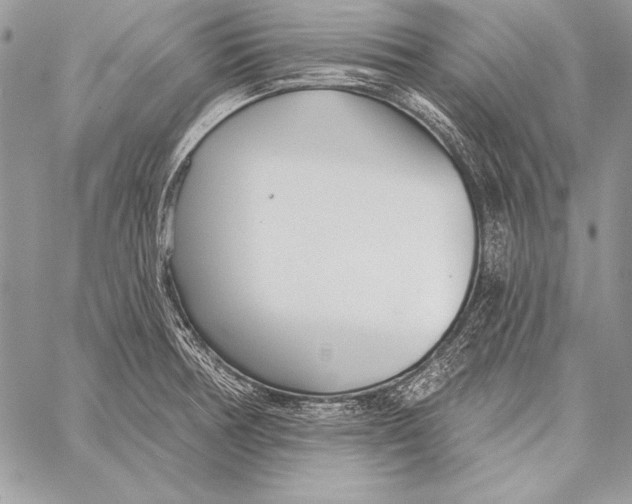 X0000058121378200510171259