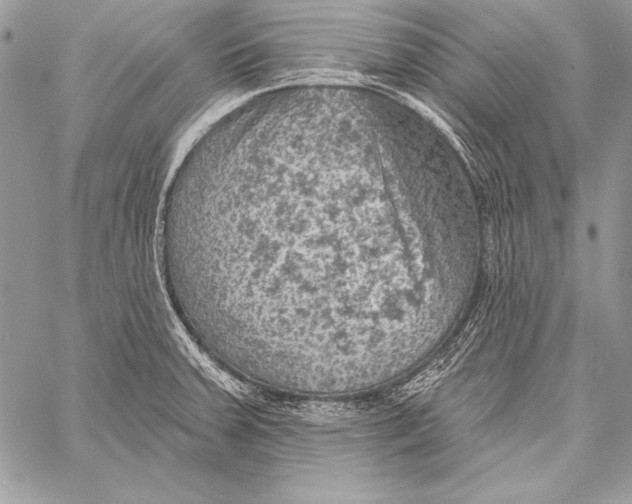 X0000058121379200510171259