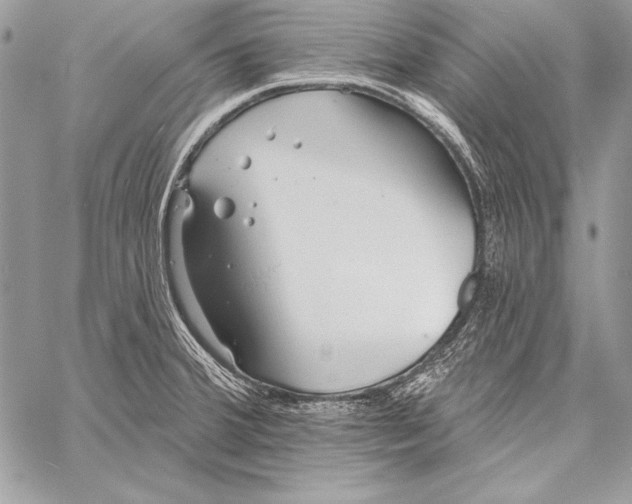 X0000058121380200510171259