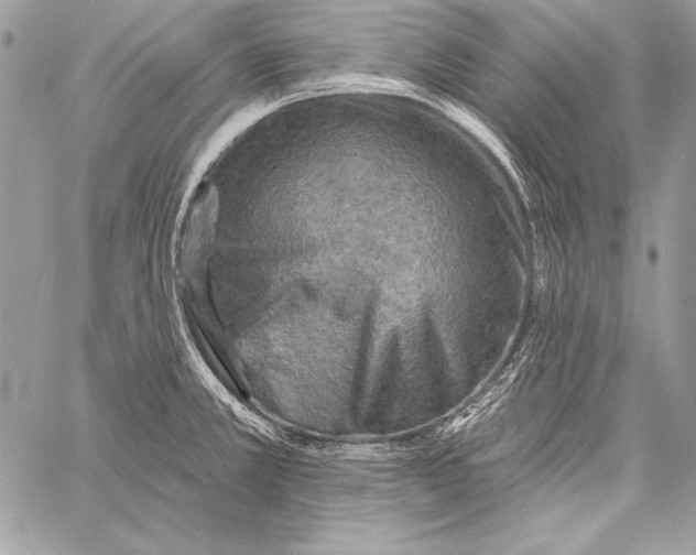 X0000058121381200510171259