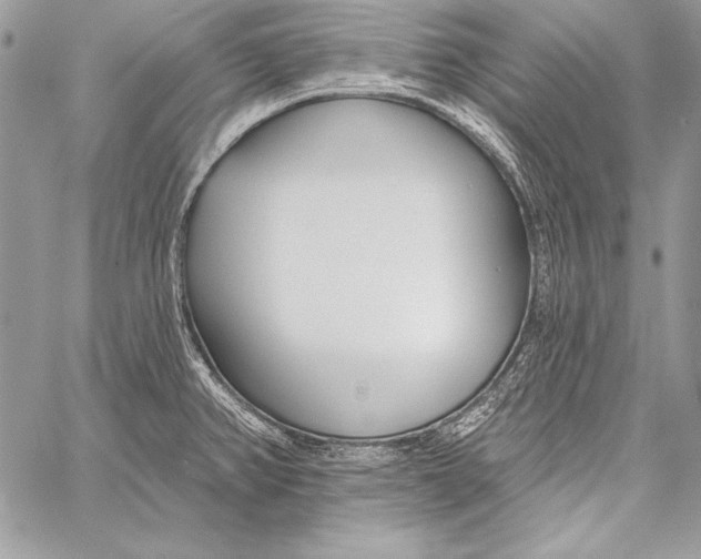 X0000058121382200510171259