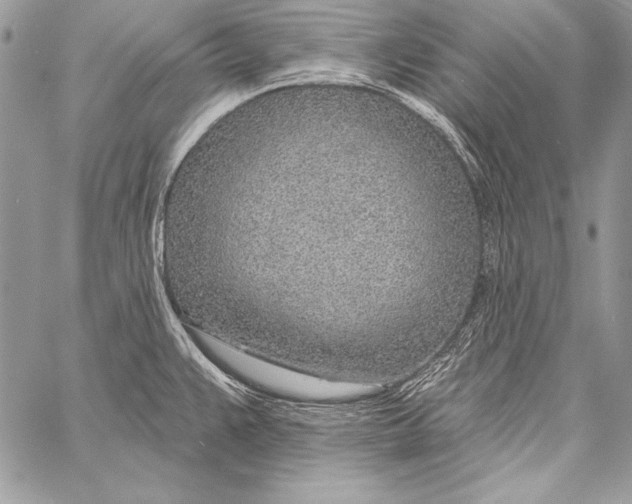 X0000058121383200510171259