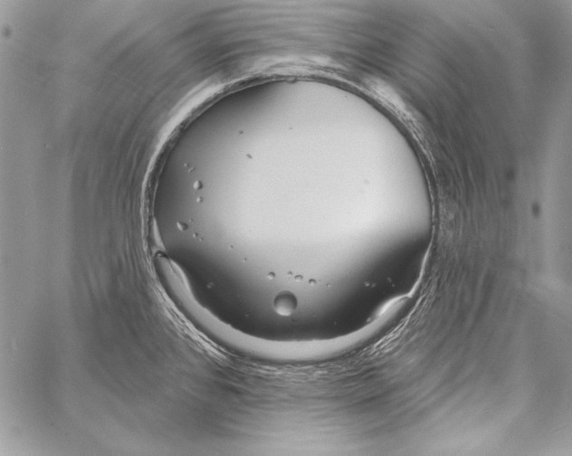 X0000058121384200510171259